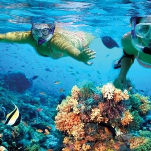 foto - Amed Holiday Snorkeling & Fishing Trip - 11