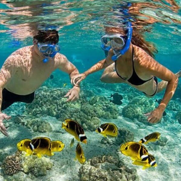 foto - Amed Holiday Snorkeling & Fishing Trip - 12
