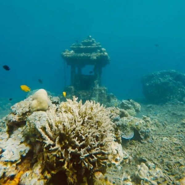 foto - Amed Holiday Snorkeling & Fishing Trip - 27