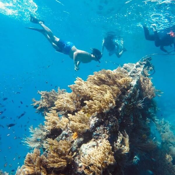 foto - Amed Holiday Snorkeling & Fishing Trip - 28