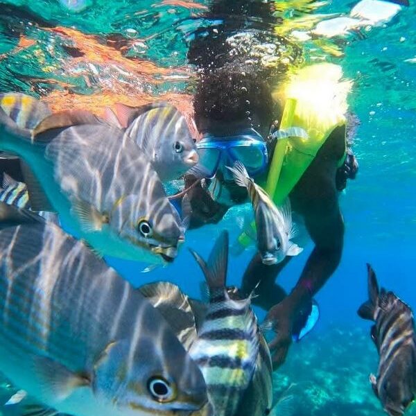 foto - Amed Holiday Snorkeling & Fishing Trip - 5