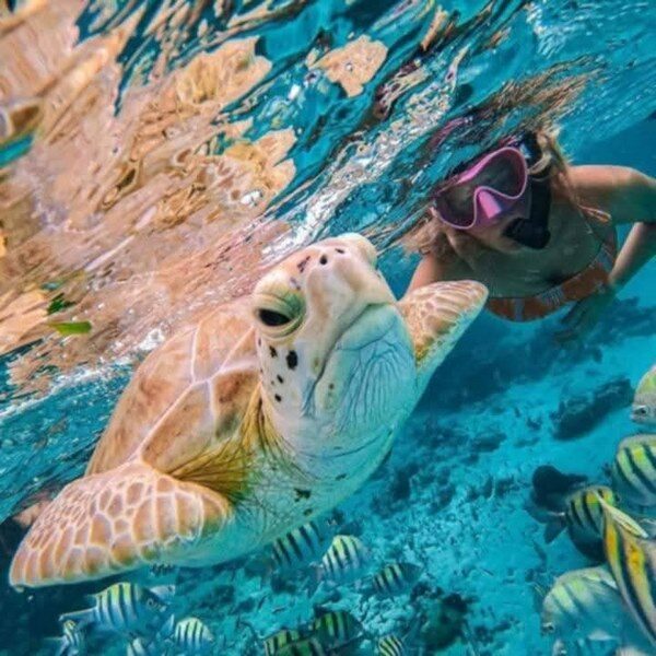 foto - Amed Holiday Snorkeling & Fishing Trip - 8