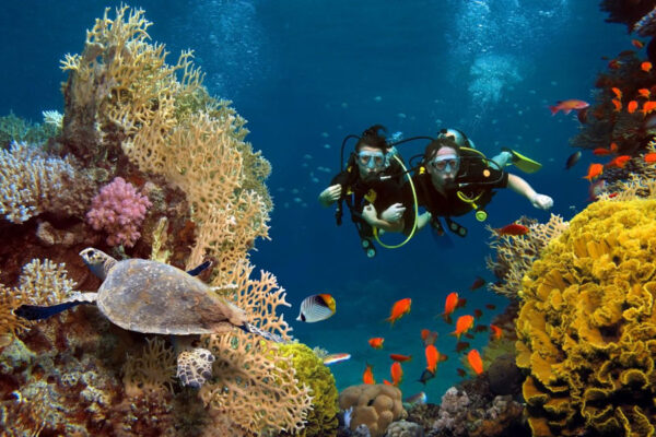 popular spot - lipah coral garden 2