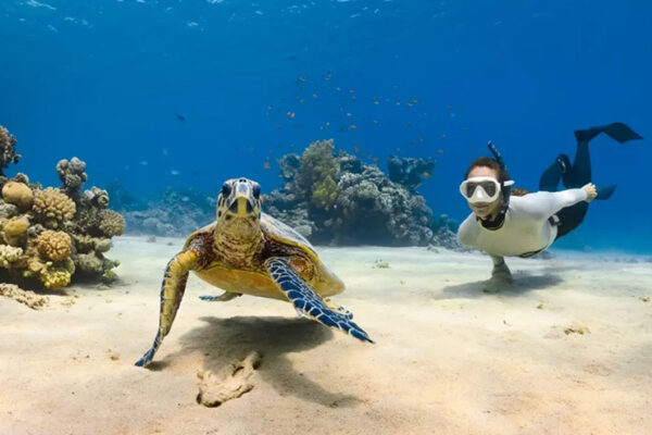 popular spot - pyramid turtle point 2