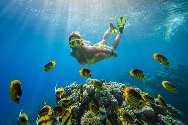 snorkeling tour 2
